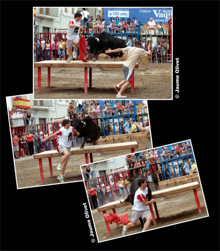 � Jaume Olivet 2005