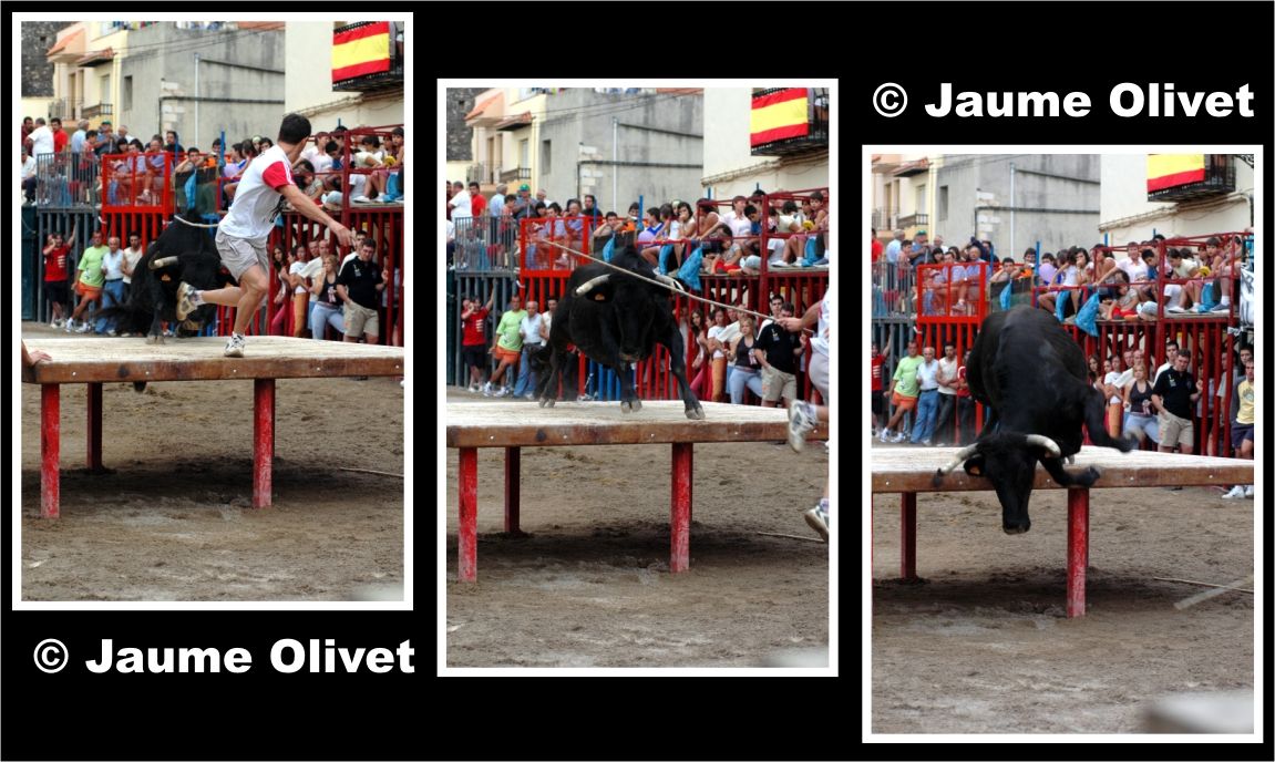 � Jaume Olivet 2005