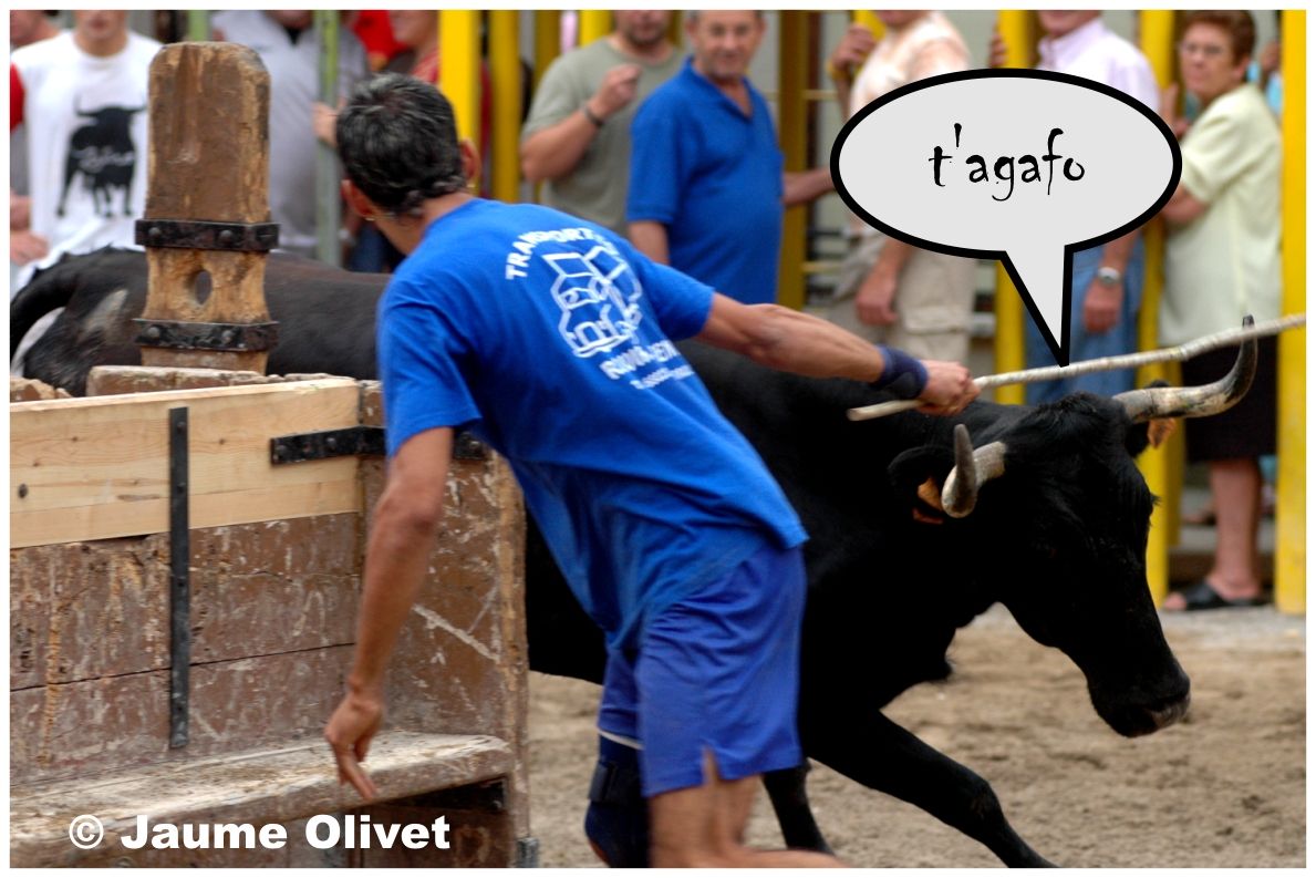 � Jaume Olivet 2005