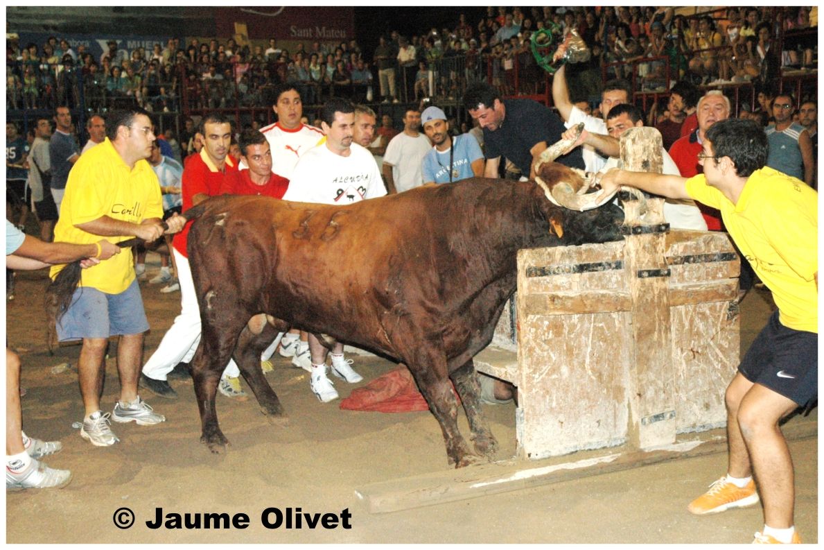 � Jaume Olivet 2005