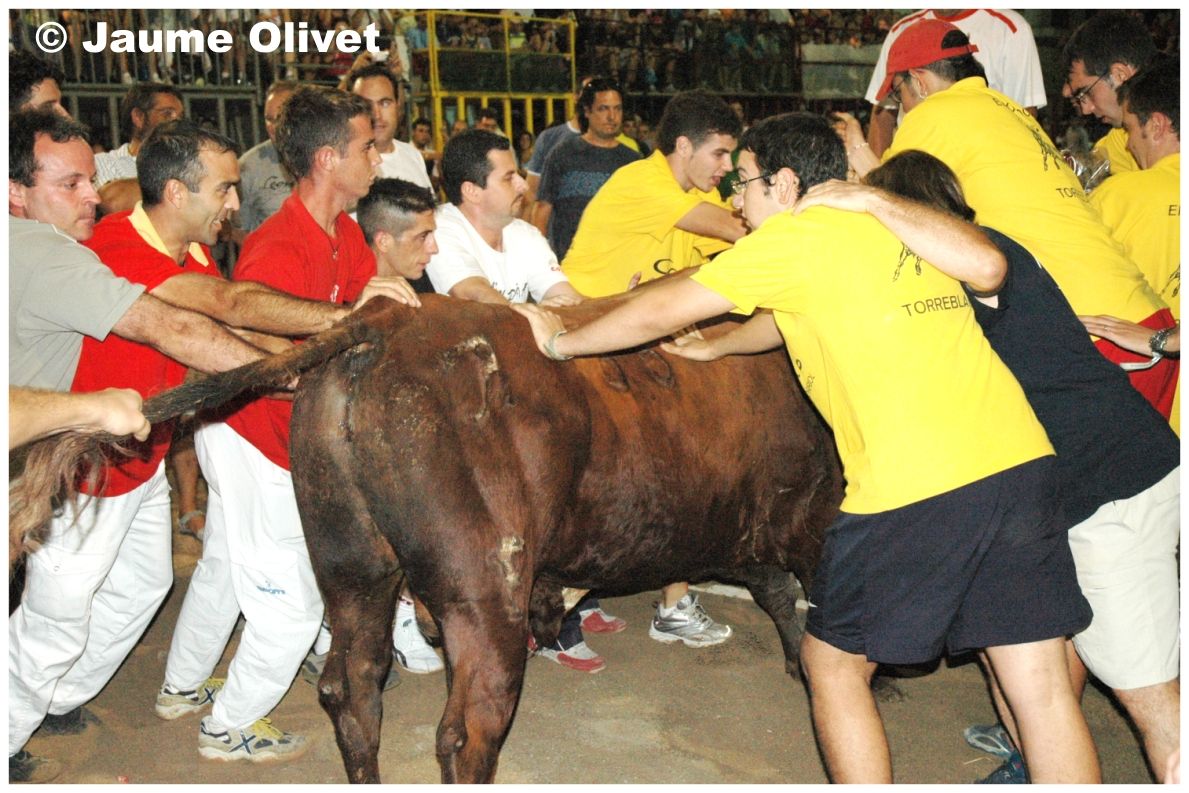 � Jaume Olivet 2005