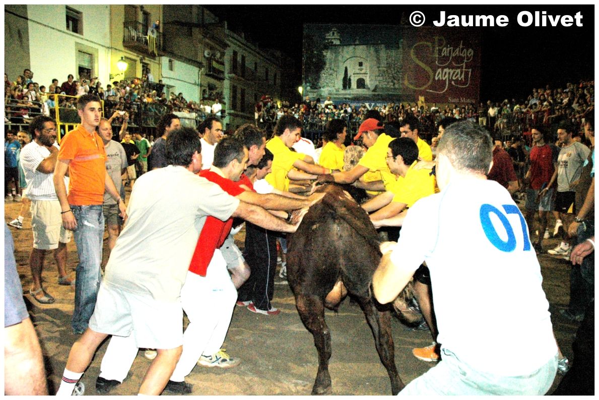 � Jaume Olivet 2005