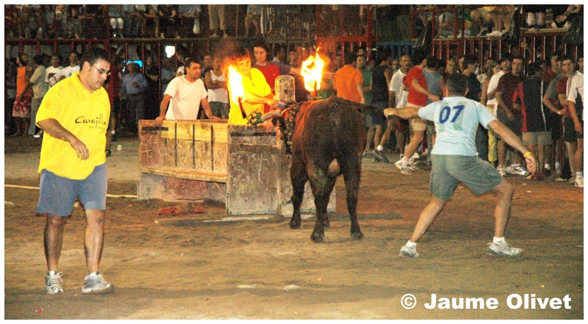 � Jaume Olivet 2005