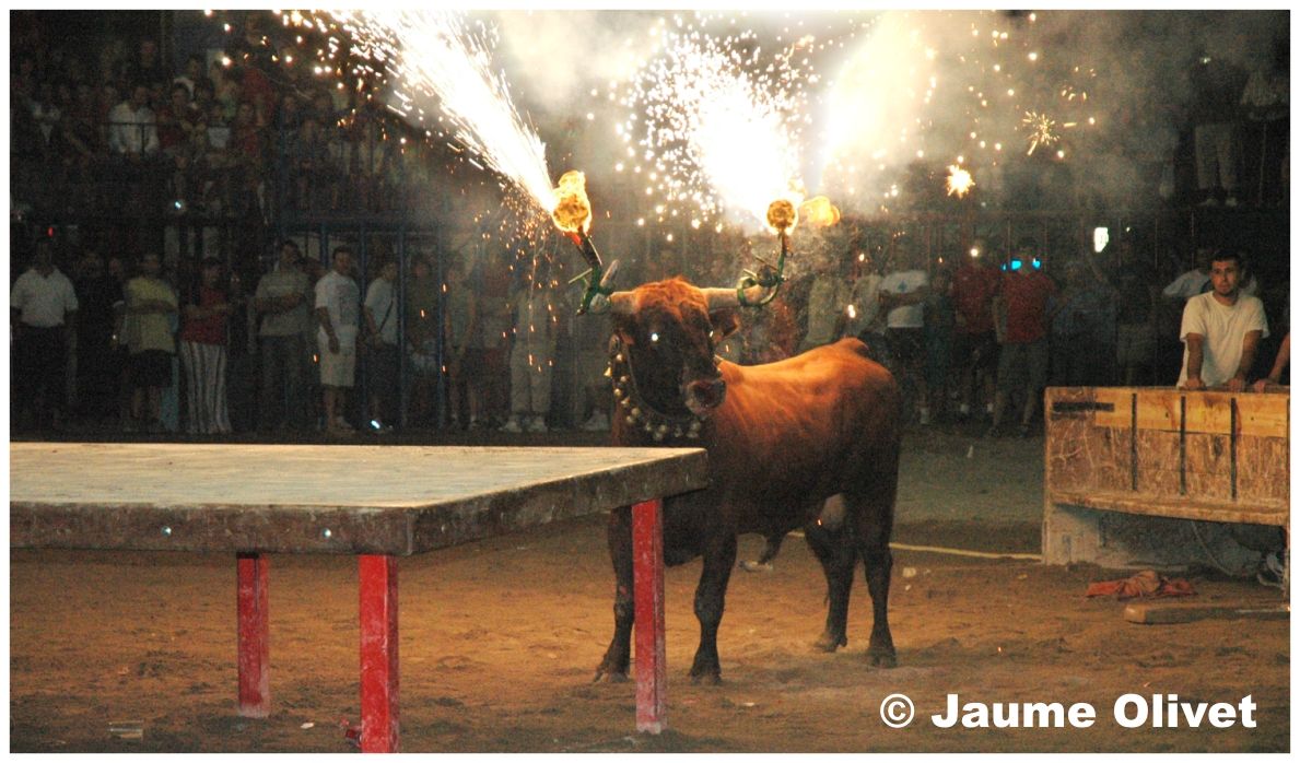 � Jaume Olivet 2005