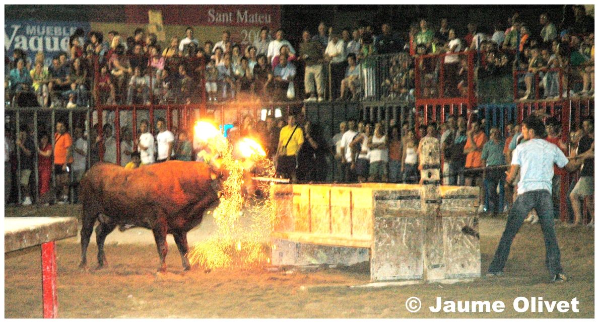 � Jaume Olivet 2005