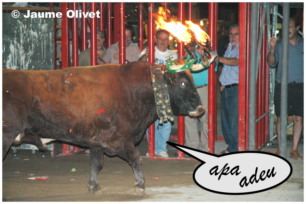 � Jaume Olivet 2005