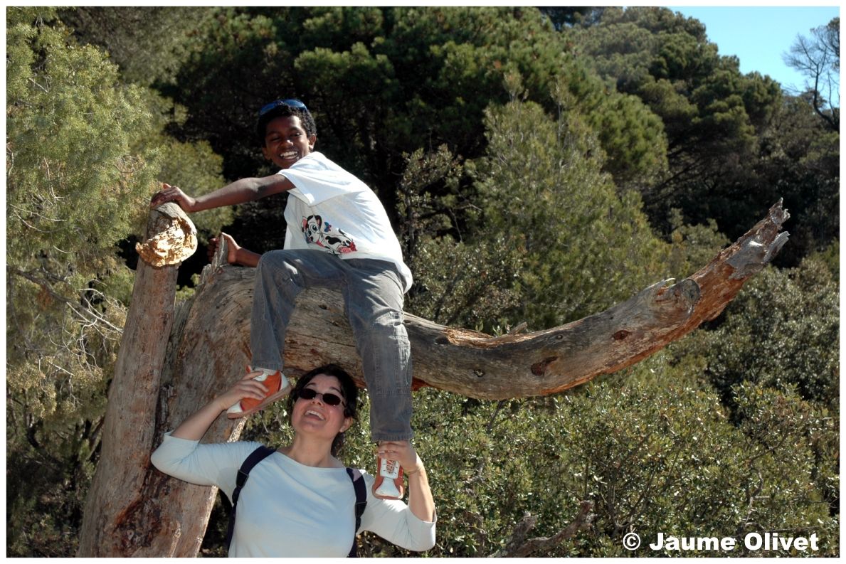 � Jaume Olivet 2005