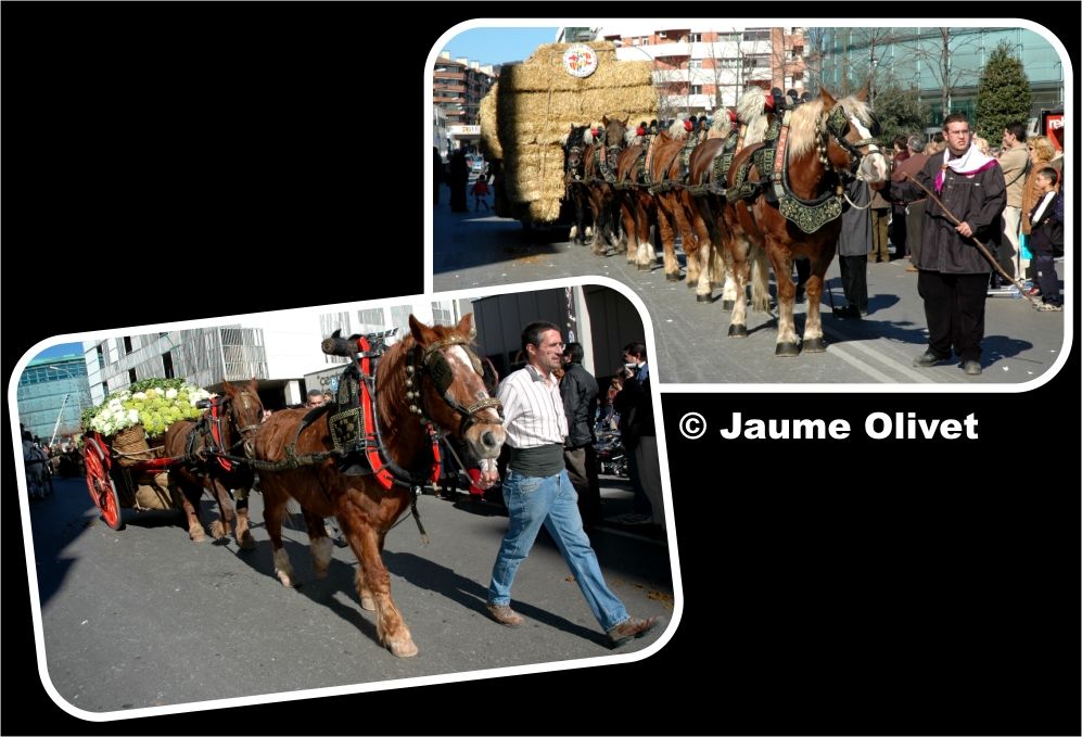 � Jaume Olivet