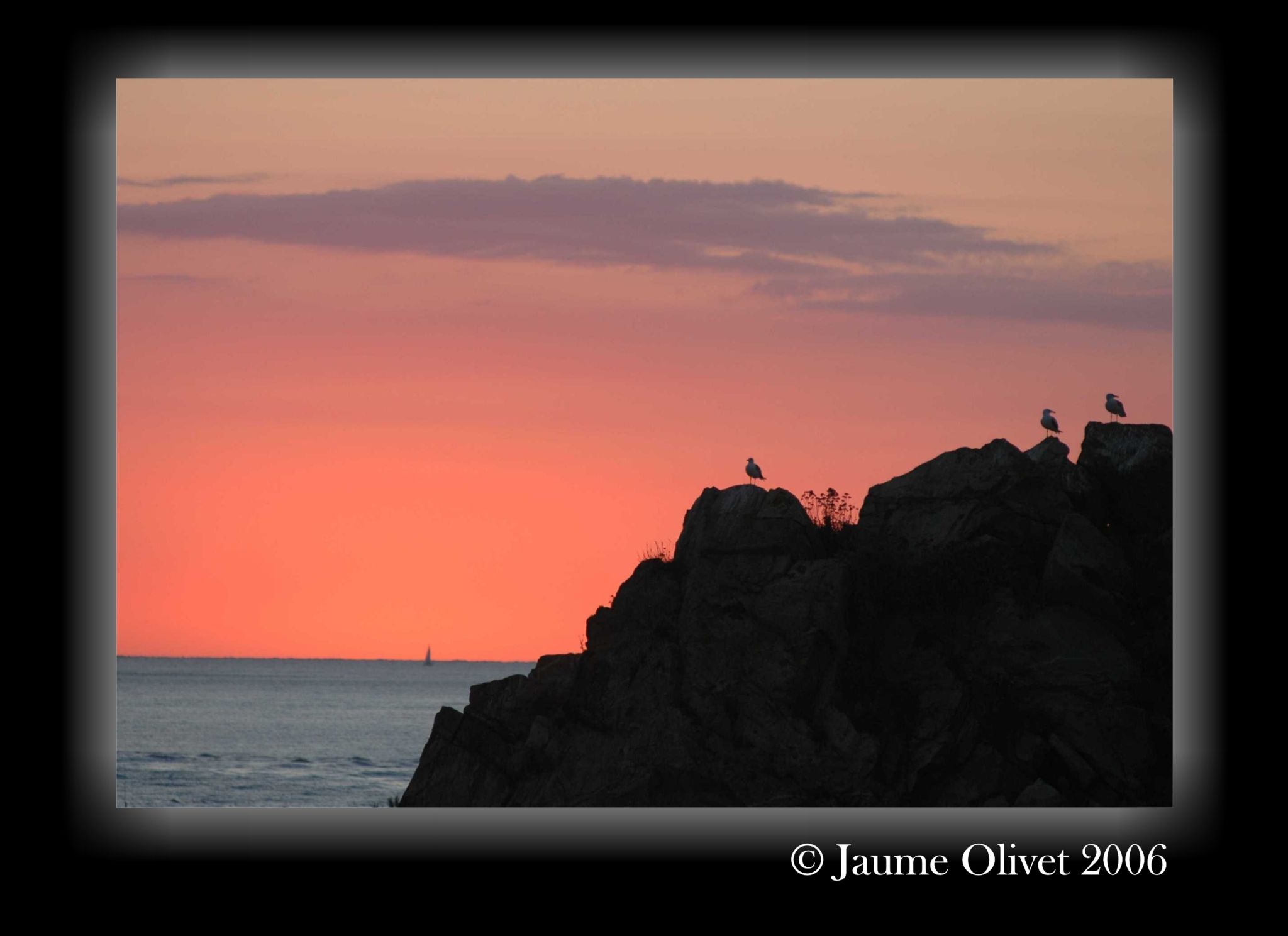 � Jaume Olivet 2006