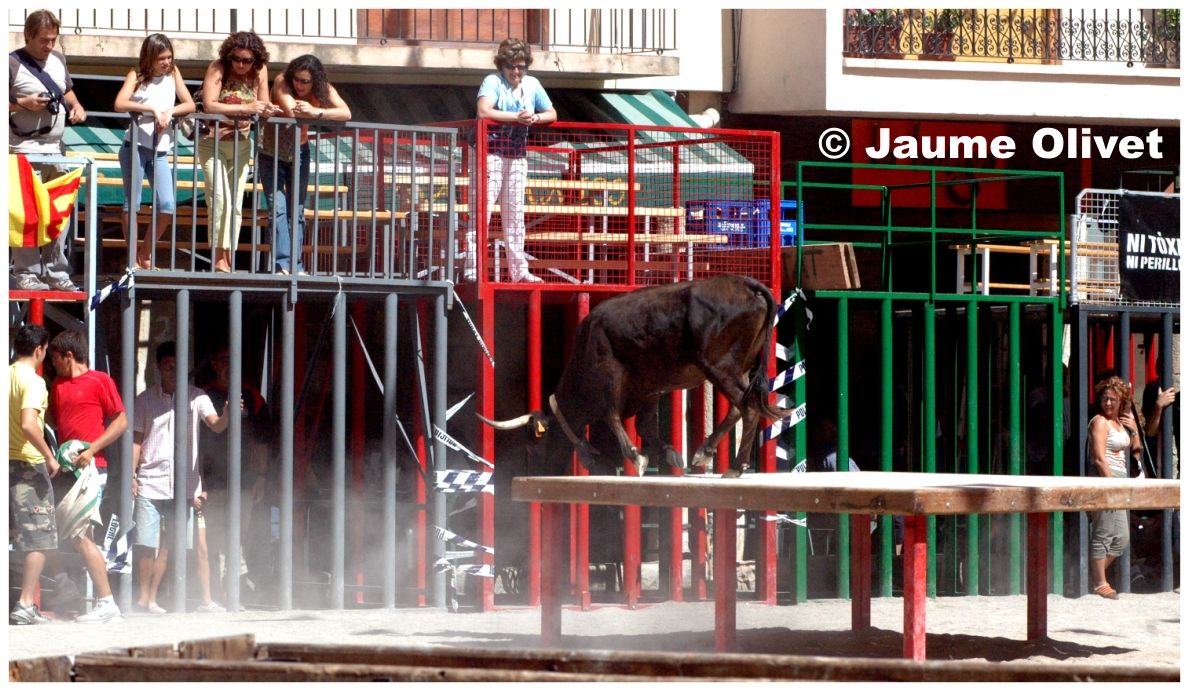 � Jaume Olivet 2006