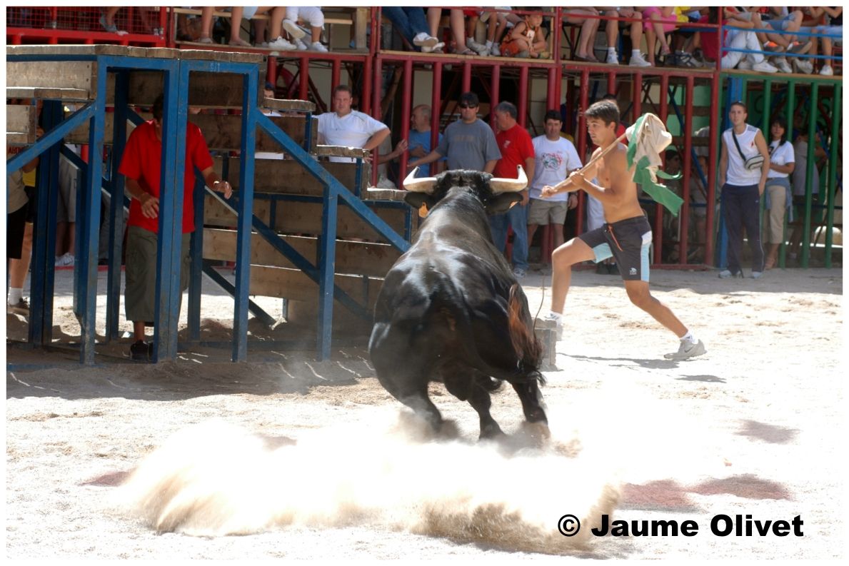 � Jaume Olivet 2006