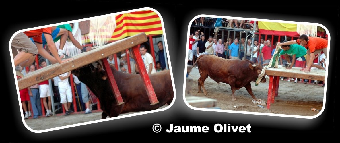 � Jaume Olivet 2006