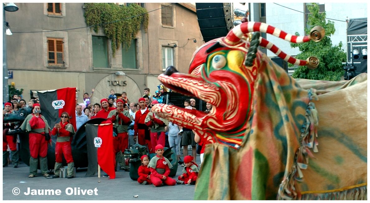 fm_2007_027 � Jaume Olivet