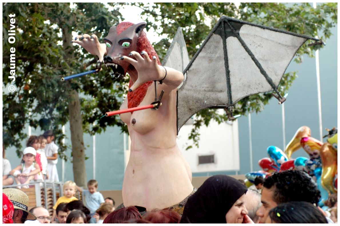 fm_2007_035 � Jaume Olivet