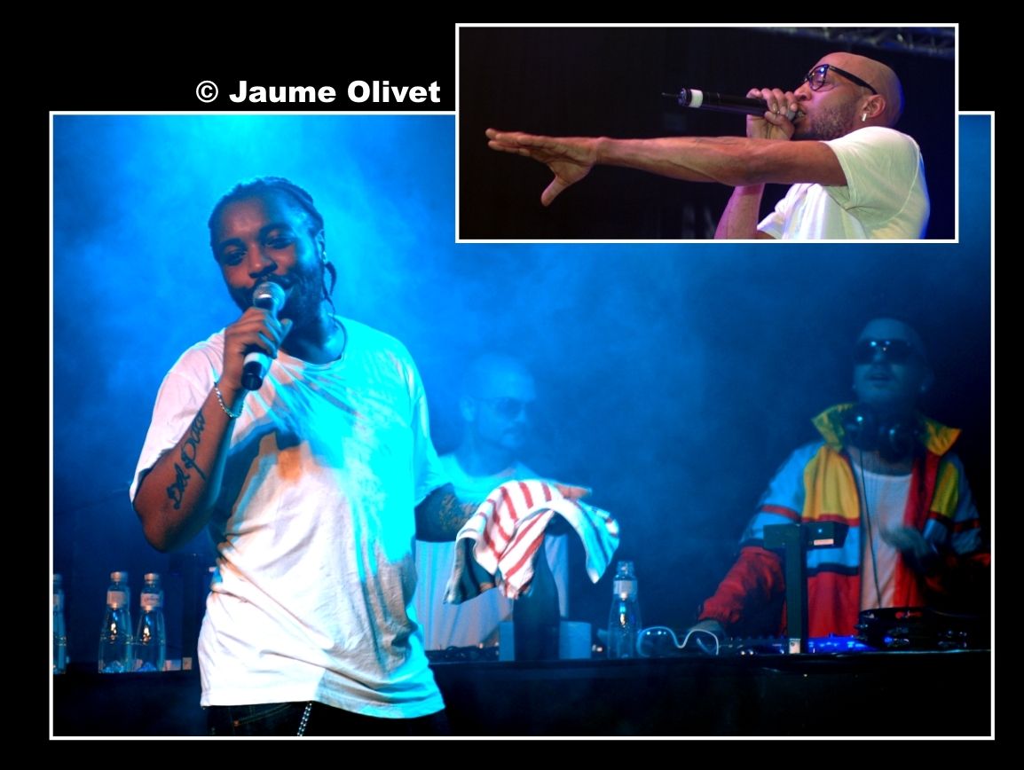 � Jaume Olivet 2008