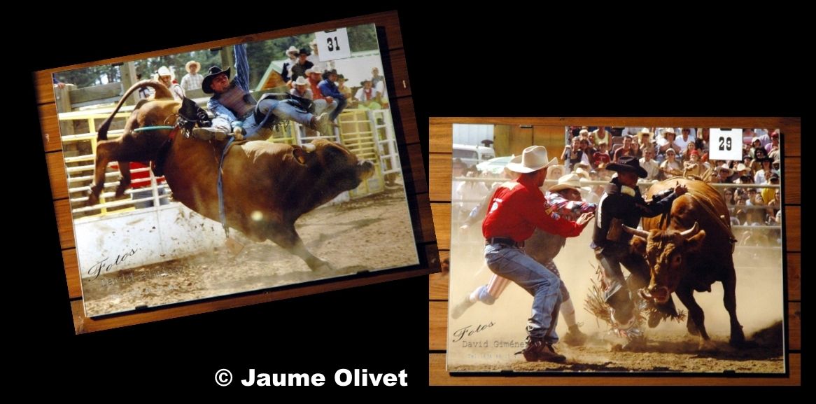 � Jaume Olivet 2008