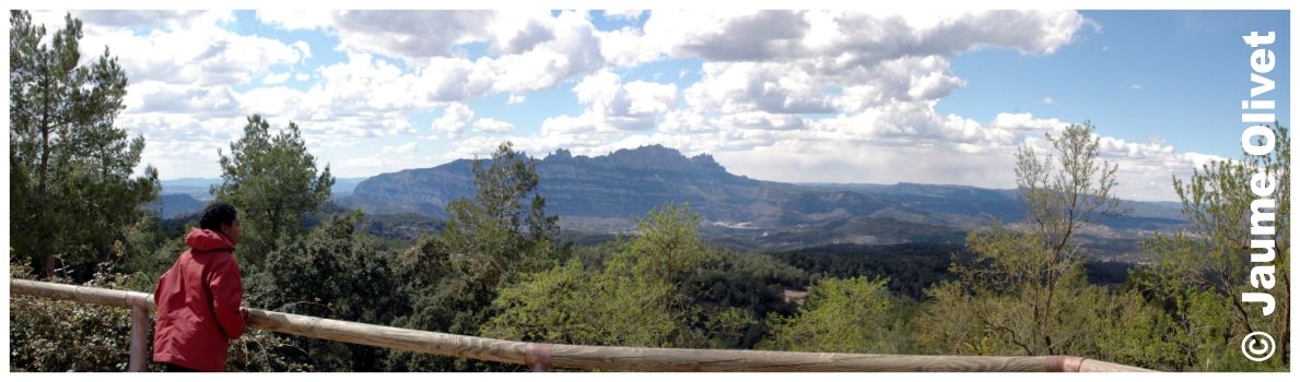 � Jaume Olivet 2008