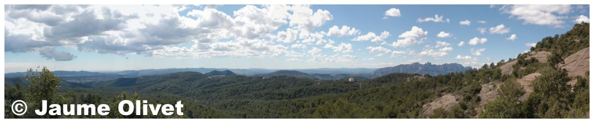 � Jaume Olivet 2008