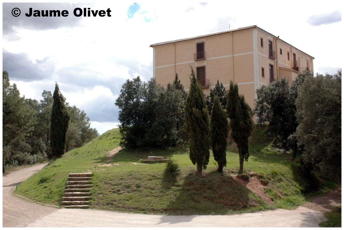 � Jaume Olivet 2008