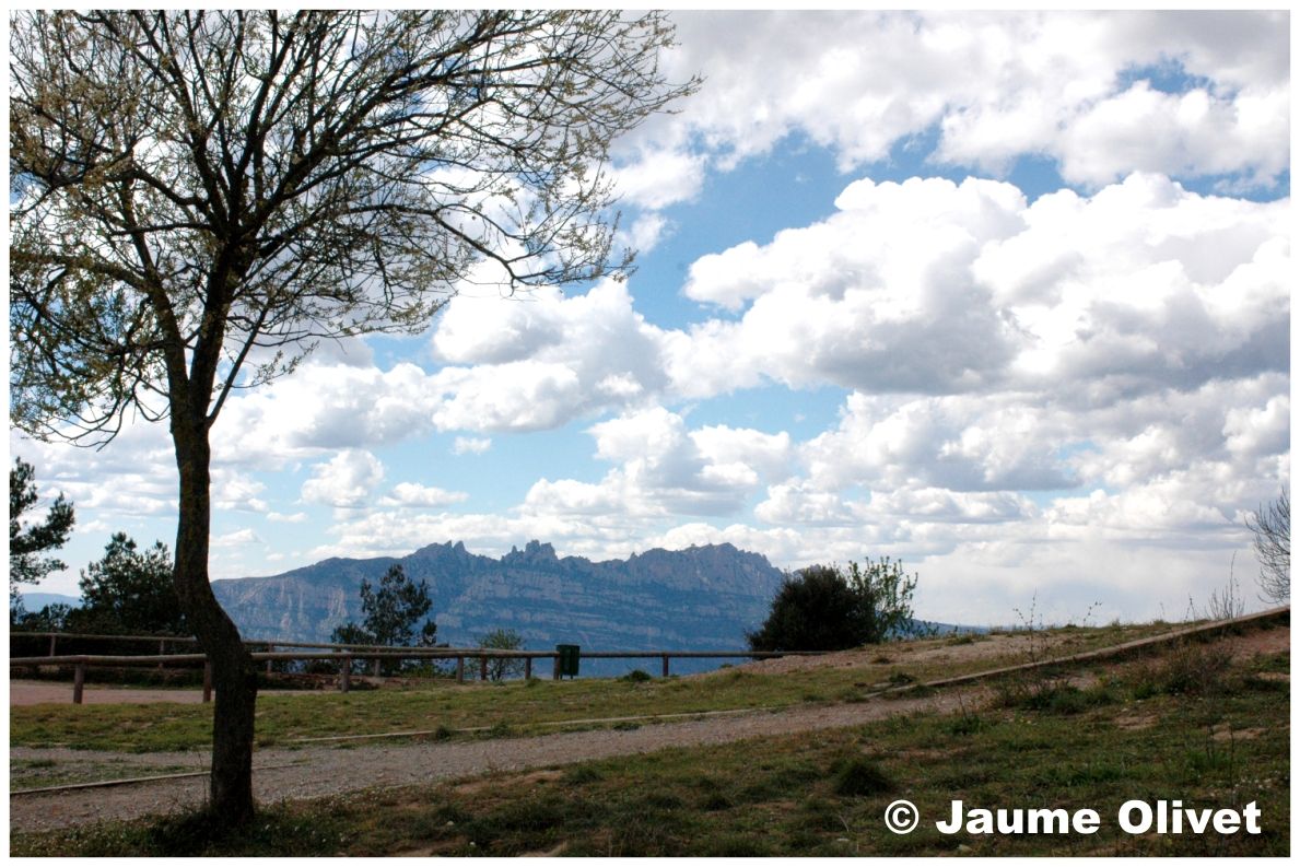 � Jaume Olivet 2008