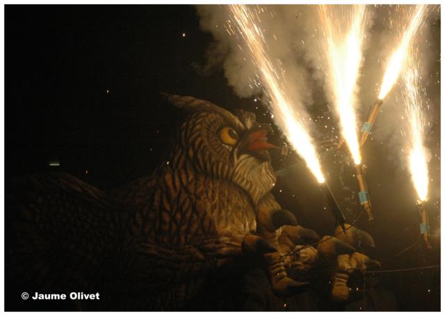 � Jaume Olivet 2008