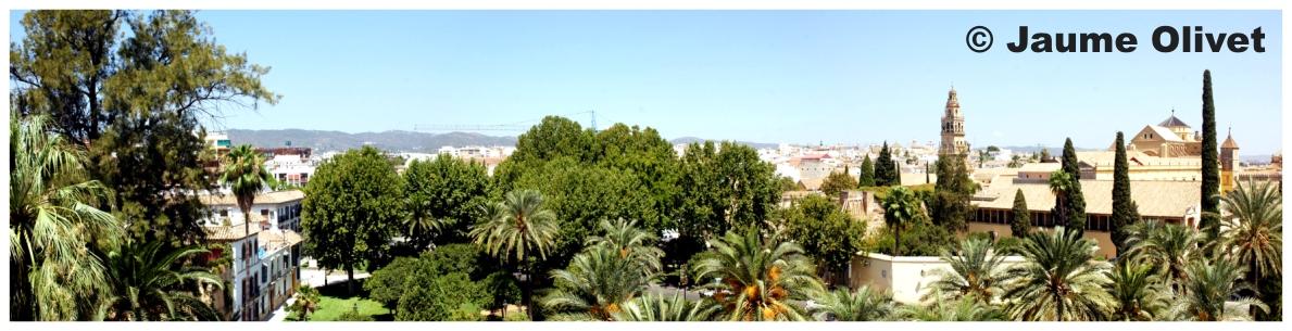 � Jaume Olivet 2009