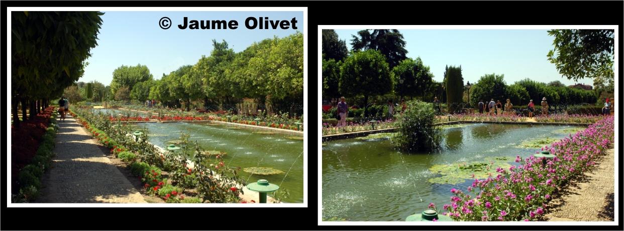 � Jaume Olivet 2009