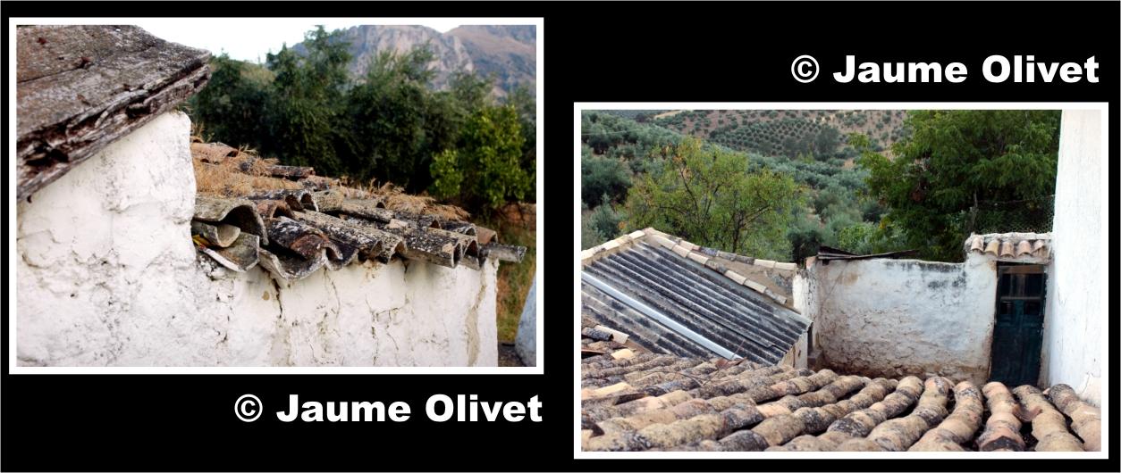 � Jaume Olivet 2009