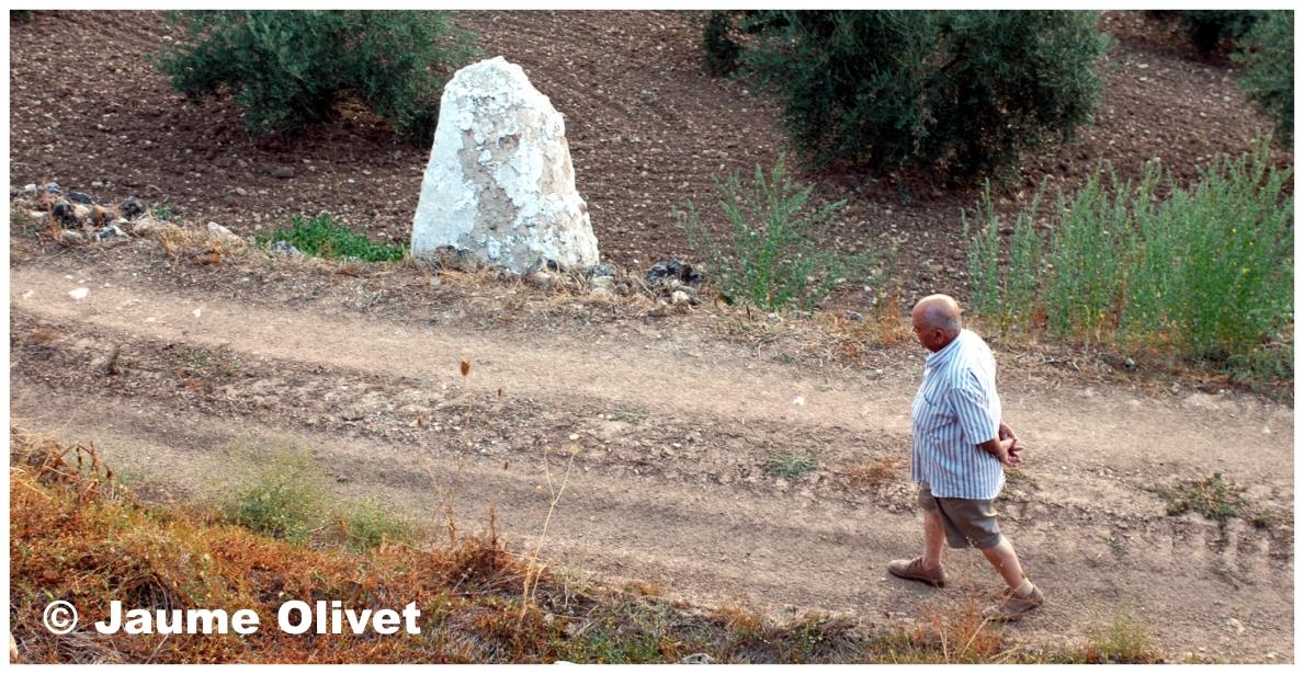 � Jaume Olivet 2009