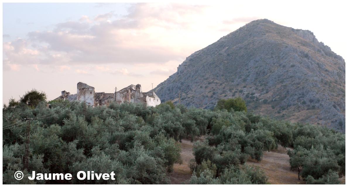 � Jaume Olivet 2009