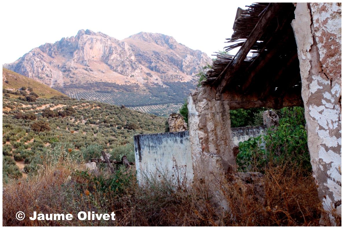 � Jaume Olivet 2009