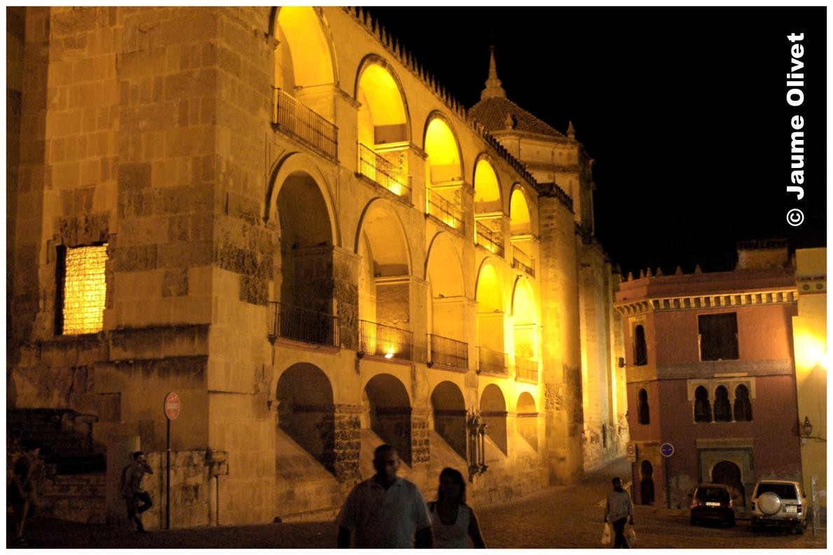 � Jaume Olivet 2009