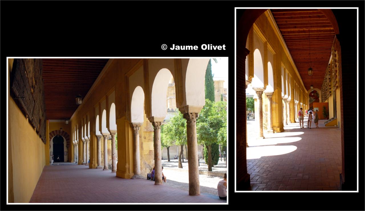 � Jaume Olivet 2009