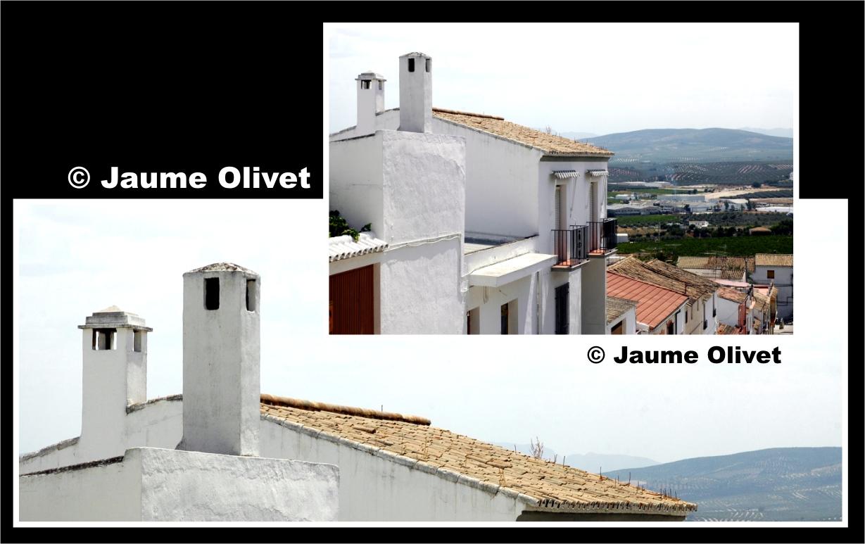 � Jaume Olivet 2009
