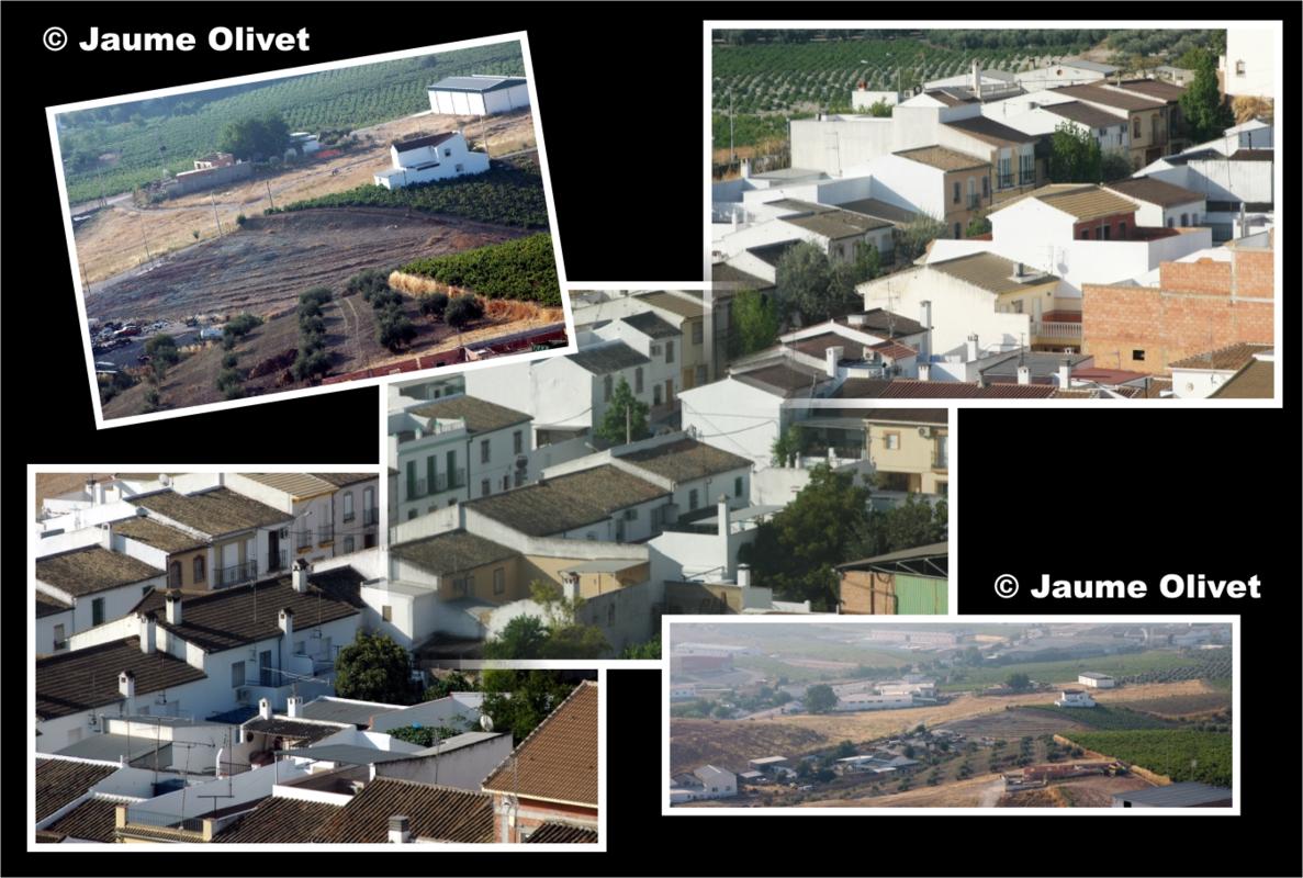 � Jaume Olivet 2006