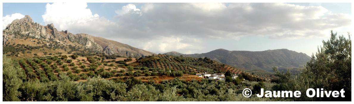 � Jaume Olivet 2009