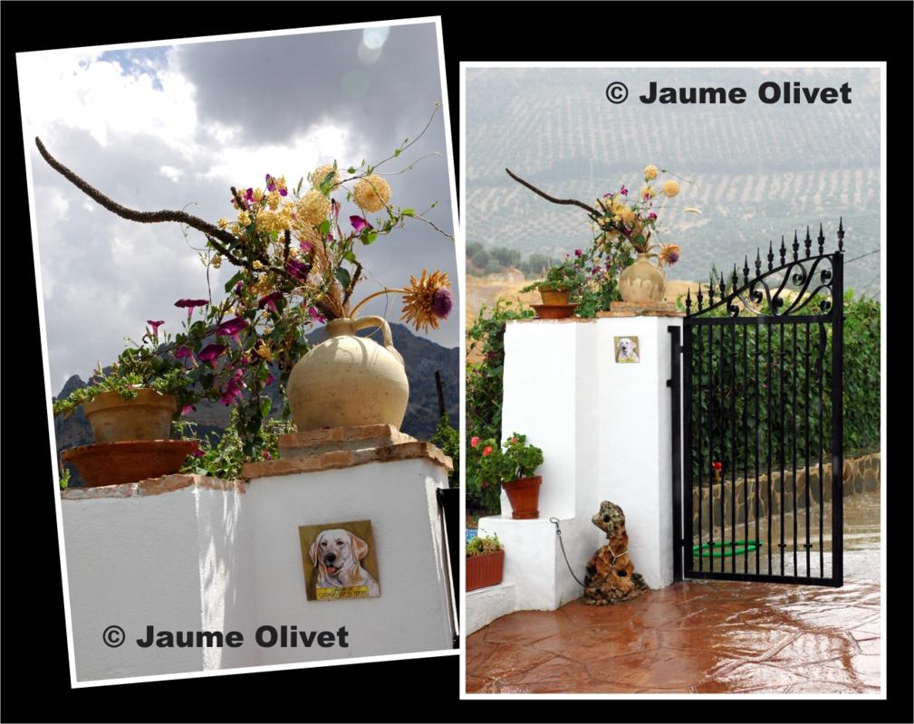 � Jaume Olivet 2009