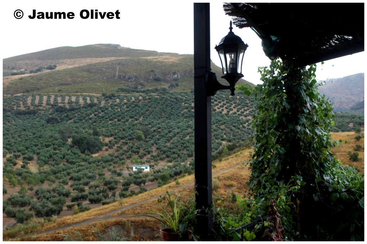 � Jaume Olivet 2009