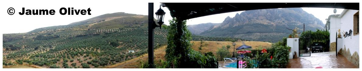 � Jaume Olivet 2009