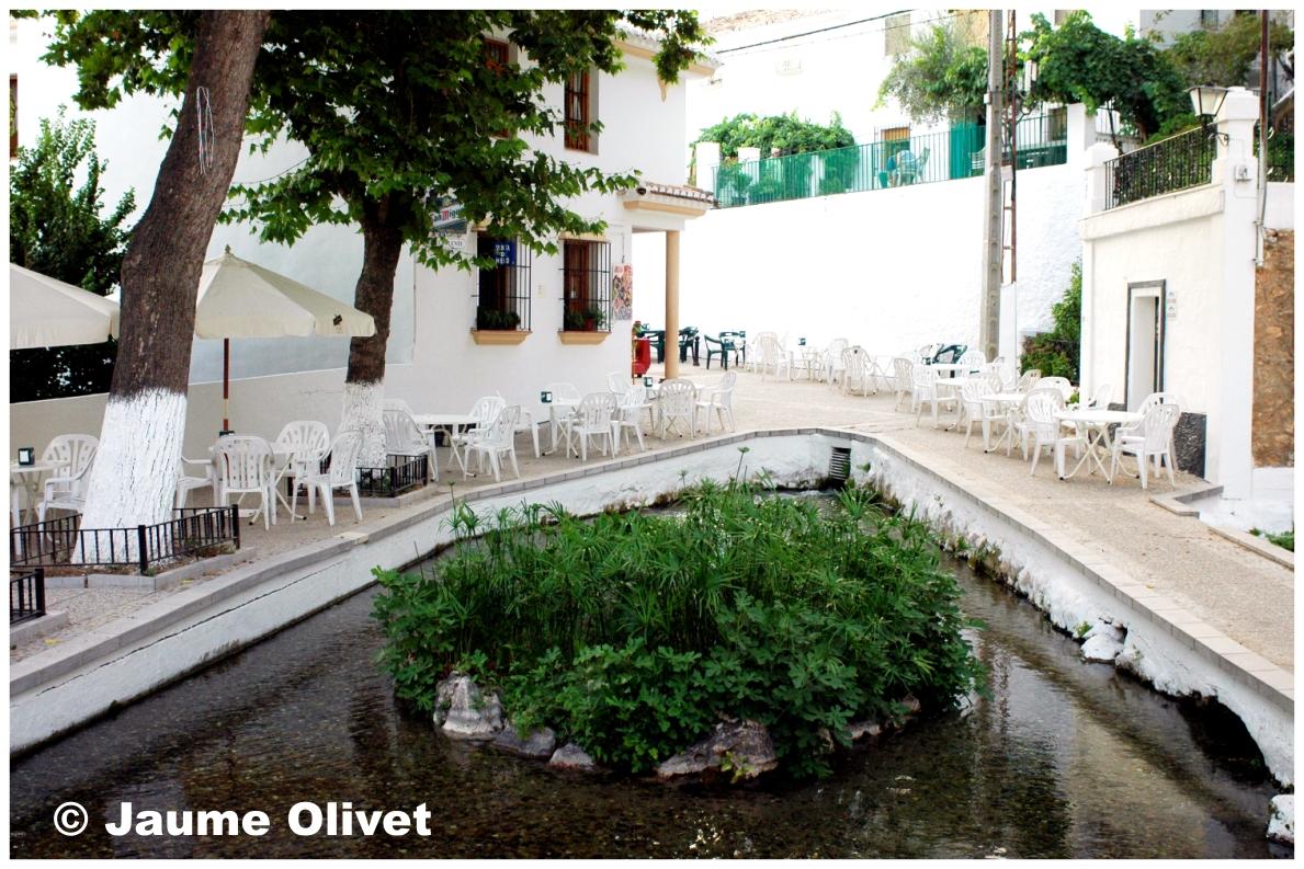 � Jaume Olivet 2009