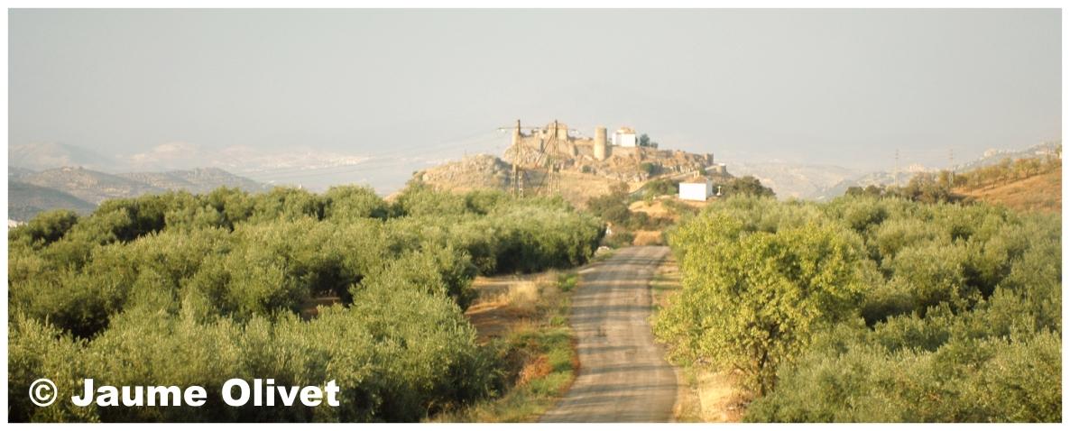 � Jaume Olivet 2009