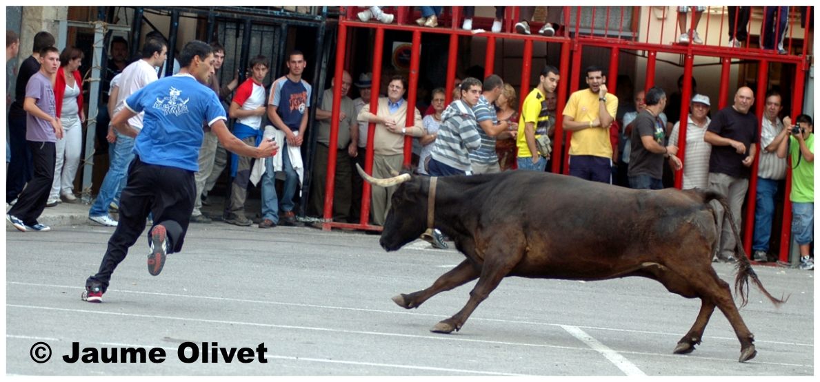 � Jaume Olivet 2009