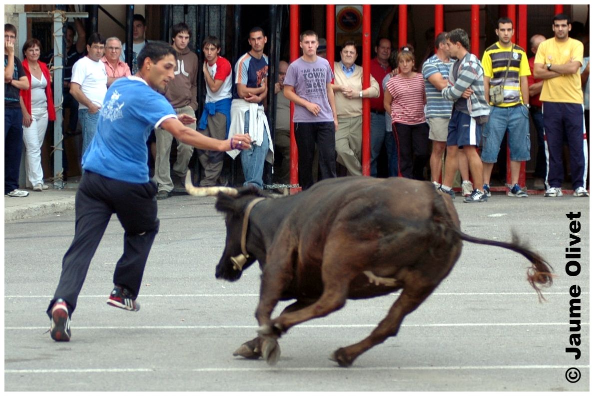 � Jaume Olivet 2009