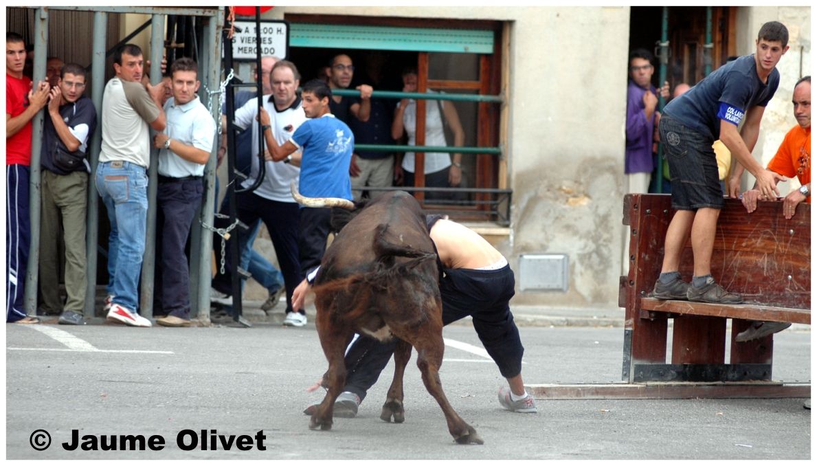 � Jaume Olivet 2009