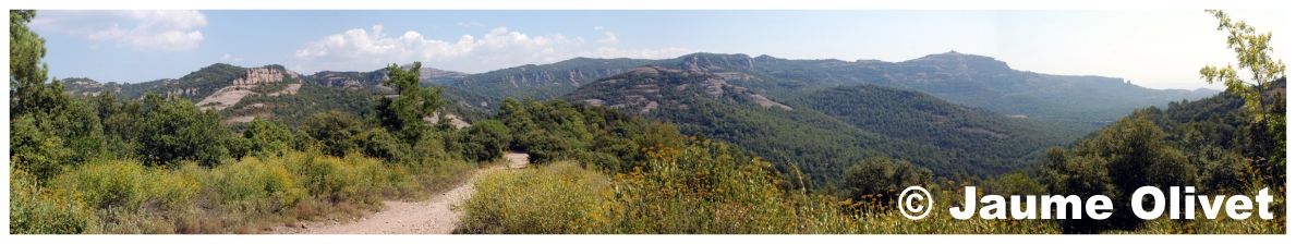 � Jaume Olivet 2009