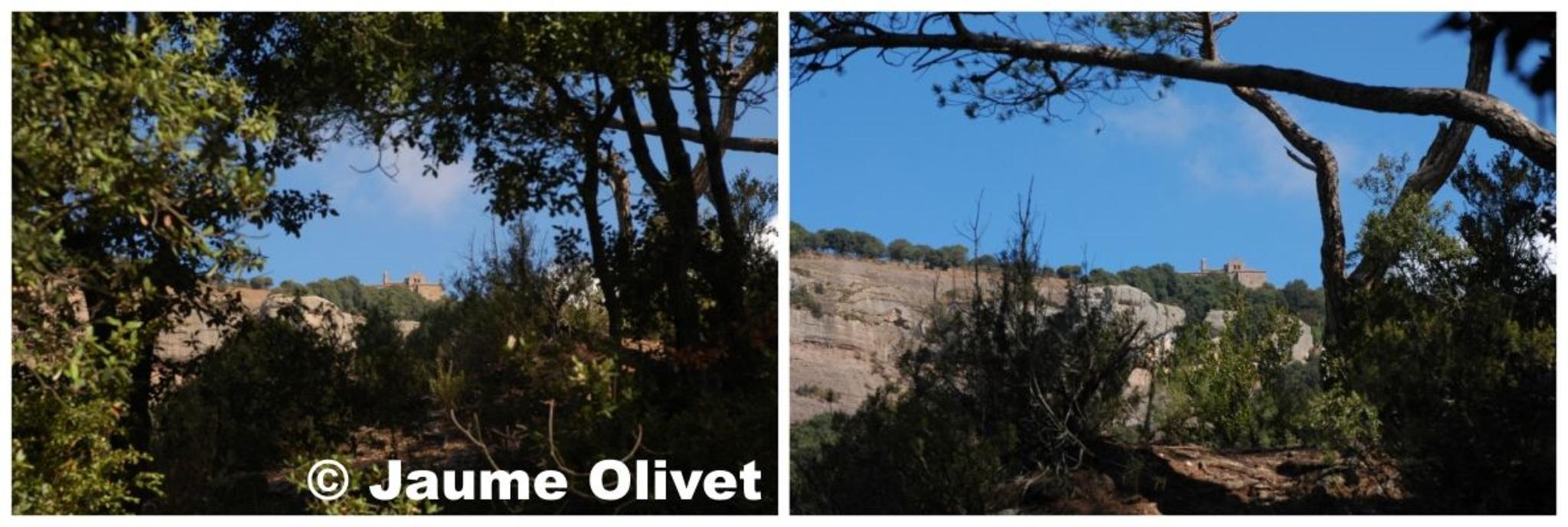 � Jaume Olivet 2009