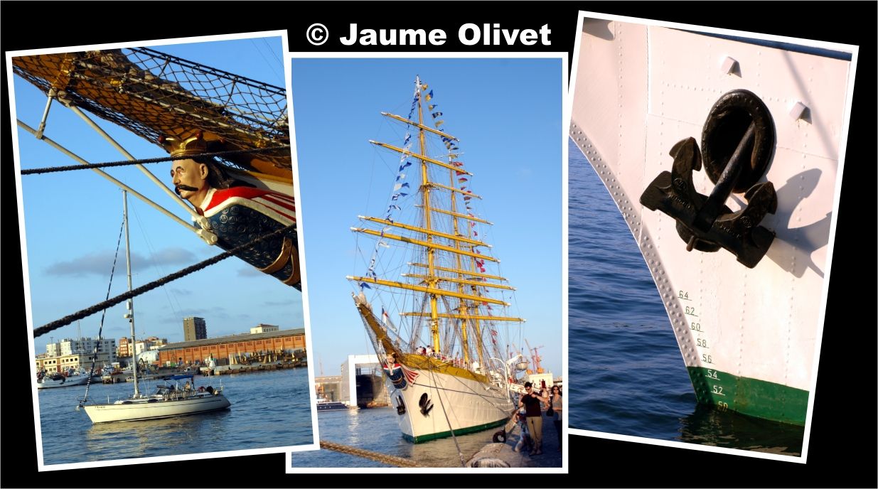 � Jaume Olivet 2009