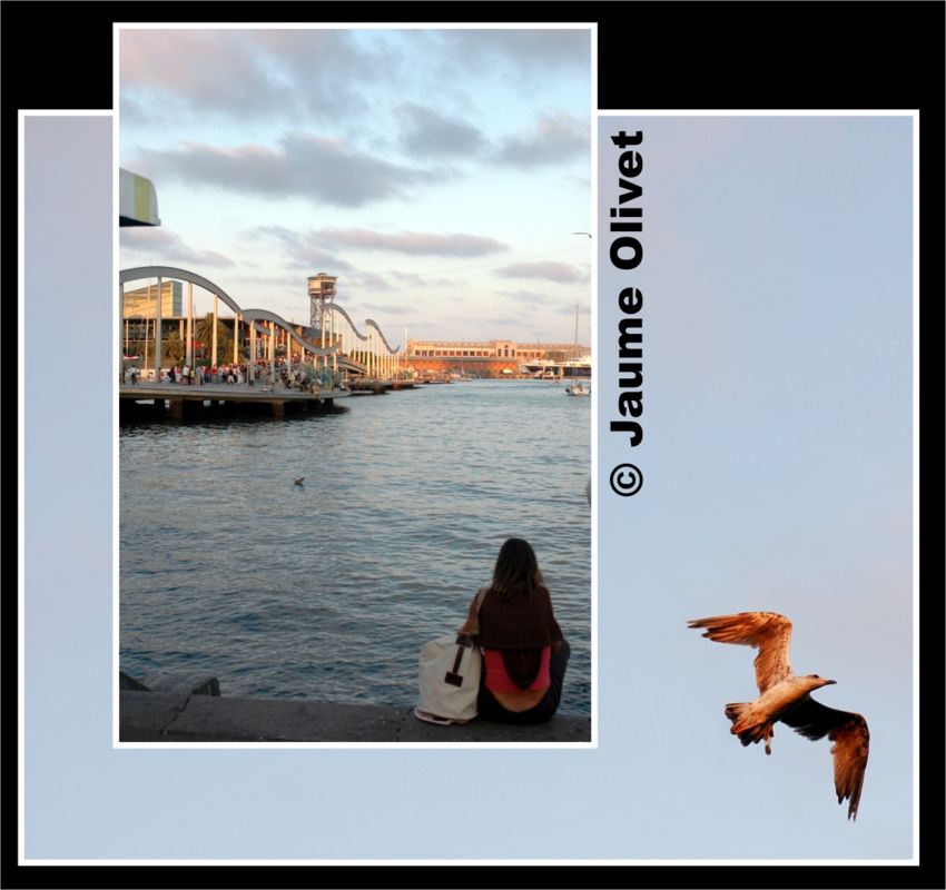 � Jaume Olivet 2009