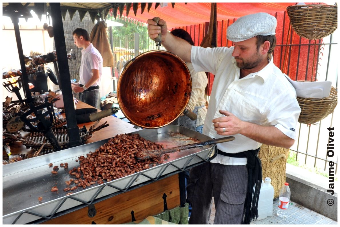M2010_0608 � Jaume Olivet
