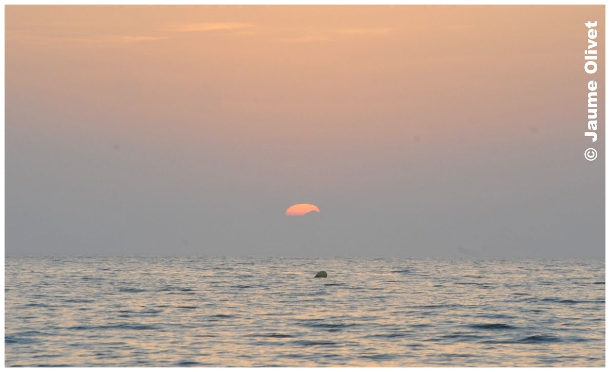 � Jaume Olivet 2010